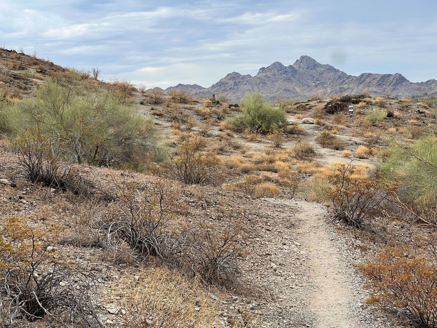 View of the trail and Piestewa.