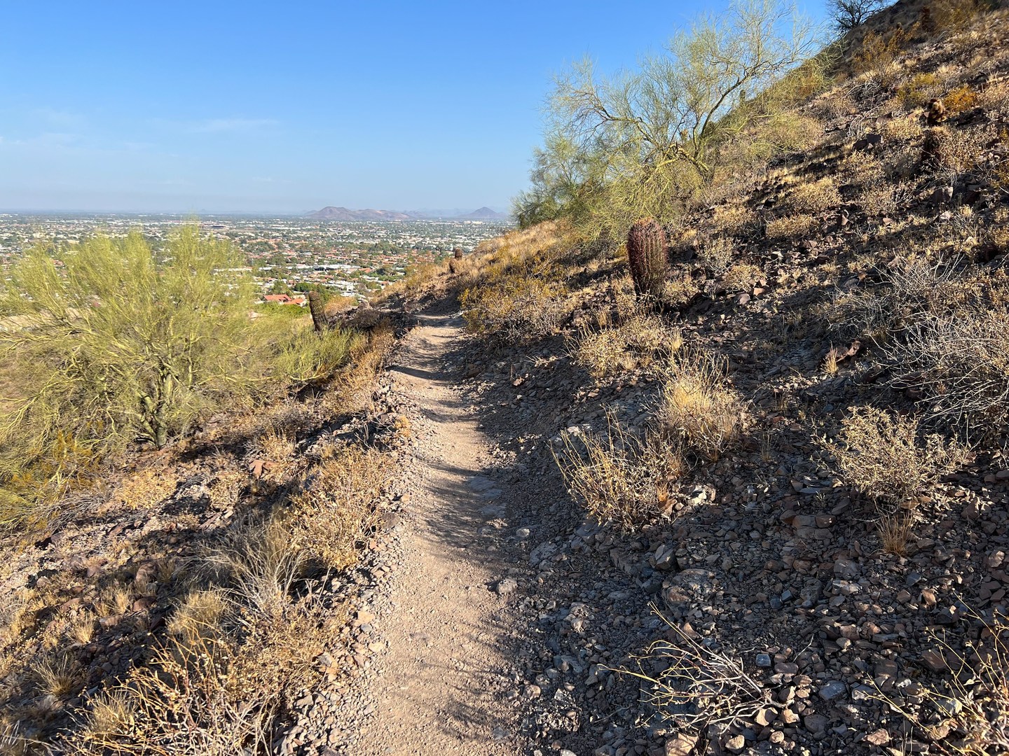 View from the Circumference Trail.