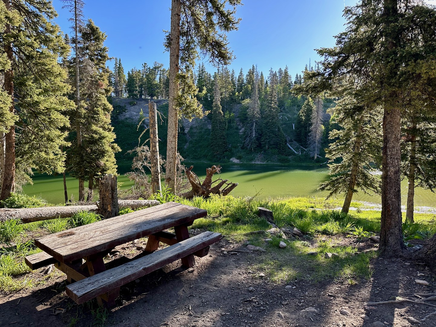 A few sites offer lake views.