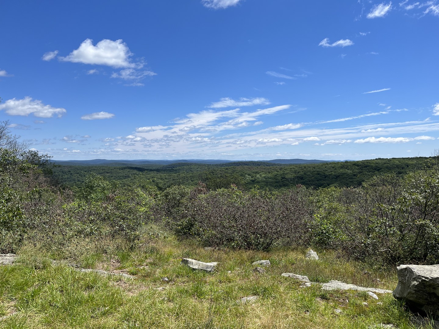 View from Charcoal Burners trail.
