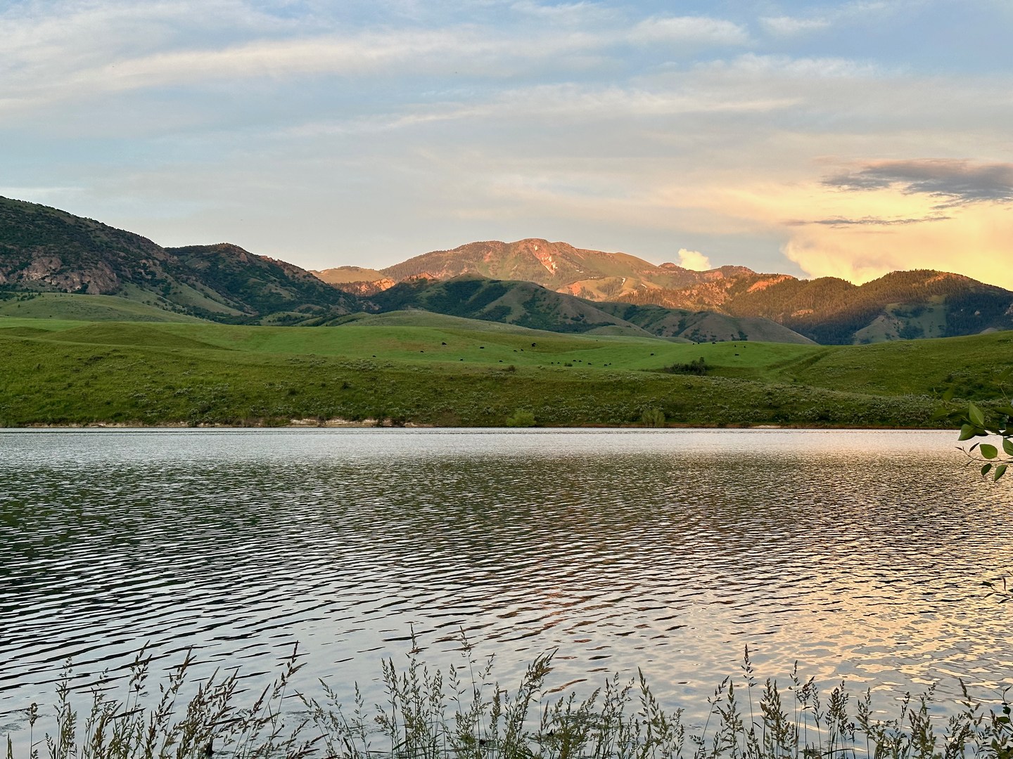 Evening light on the reservoir.