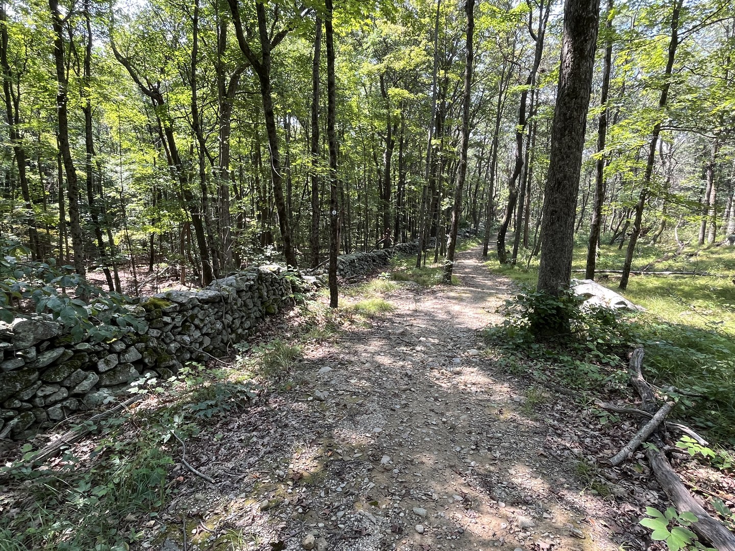 School House Road Trail.