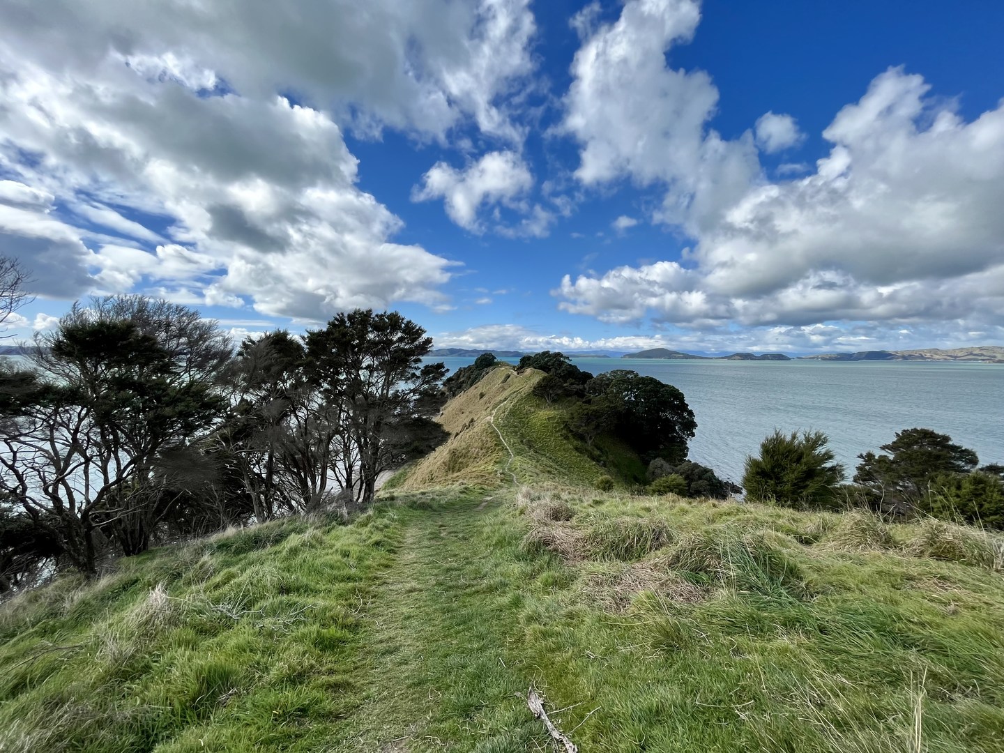 Looking Towards Whakakaiwhara Point.