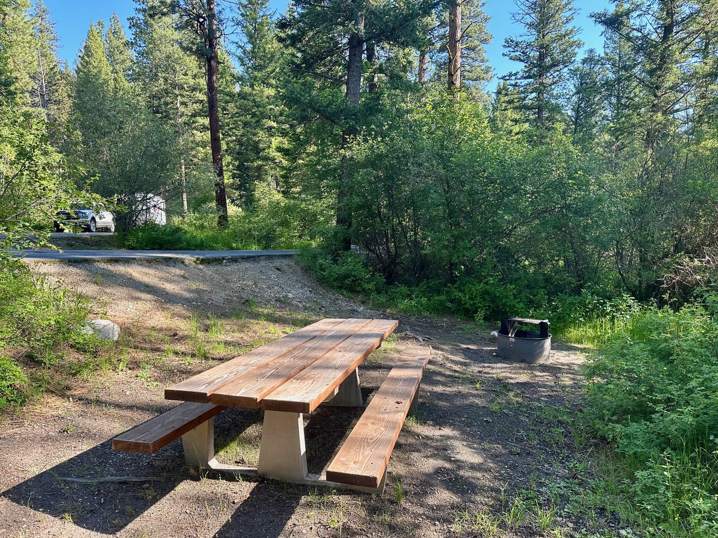 Sites have a picnic table and fire ring.