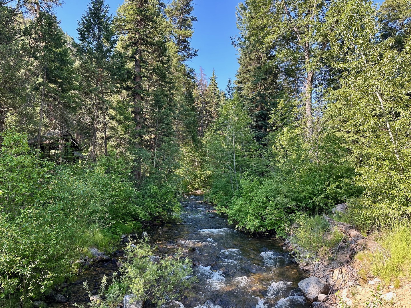 The creek flows right next to the campground.