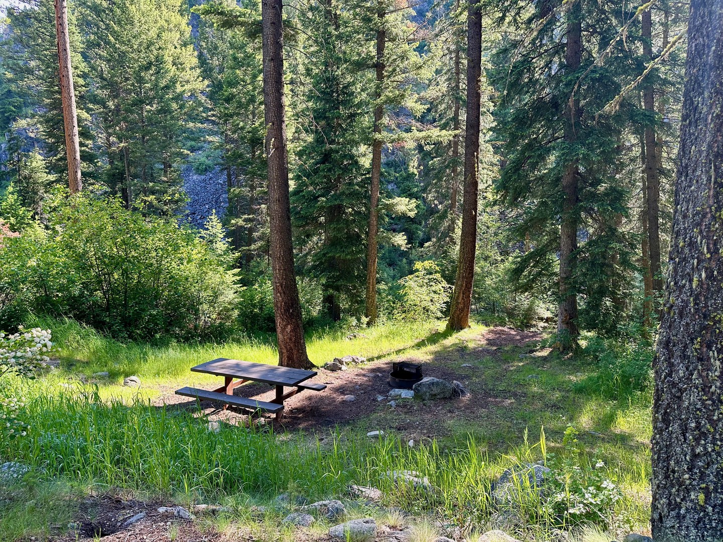 The campsites are very nice.