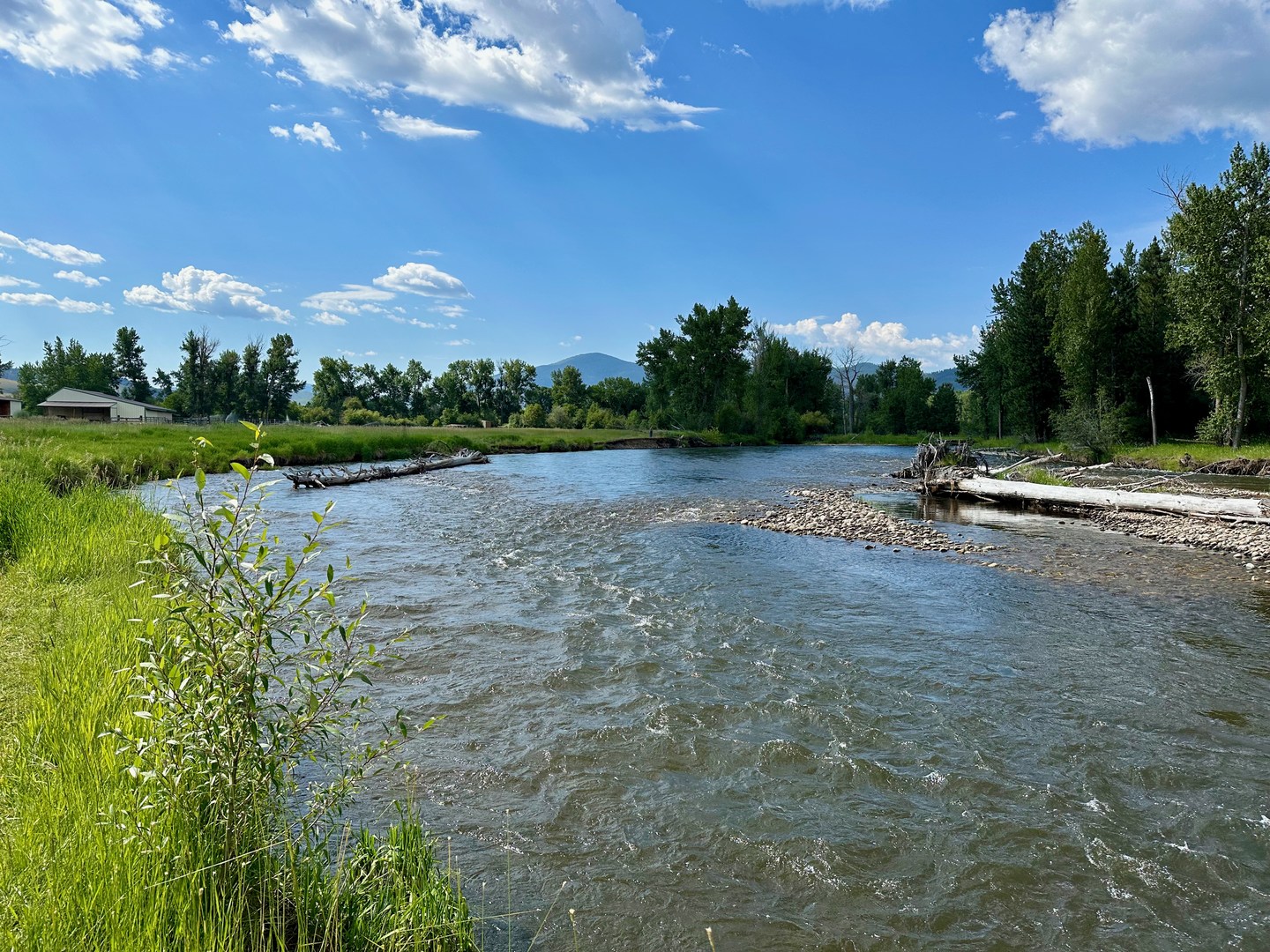 The Bitterroot River.