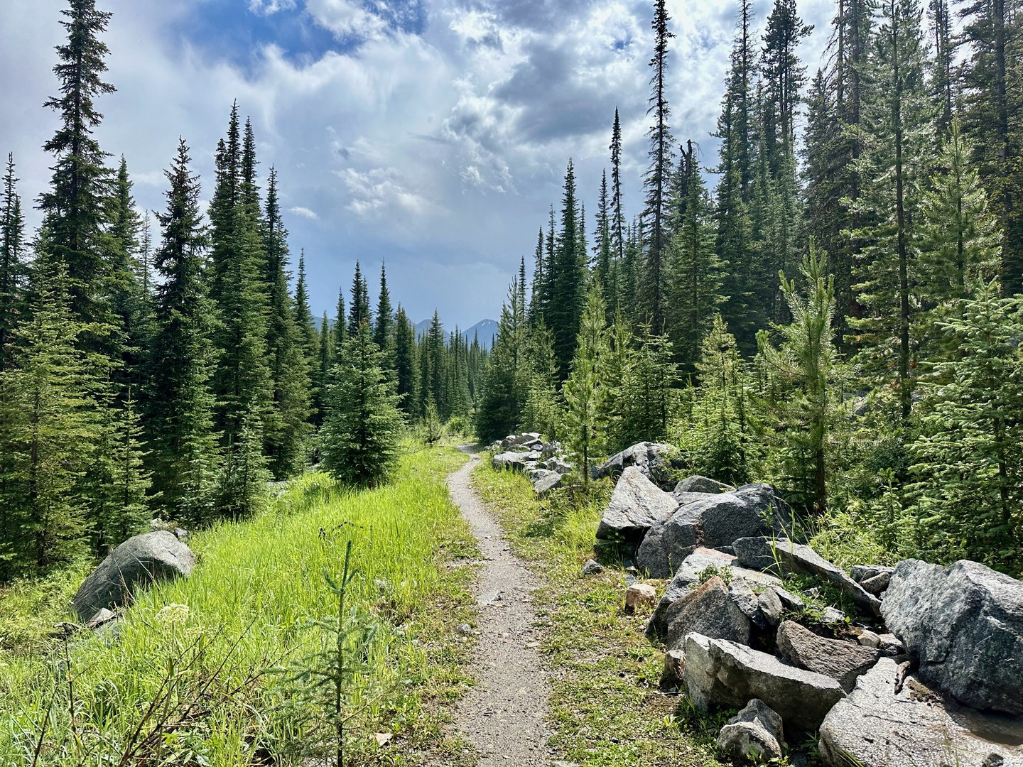 Trail below Twin Lakes.