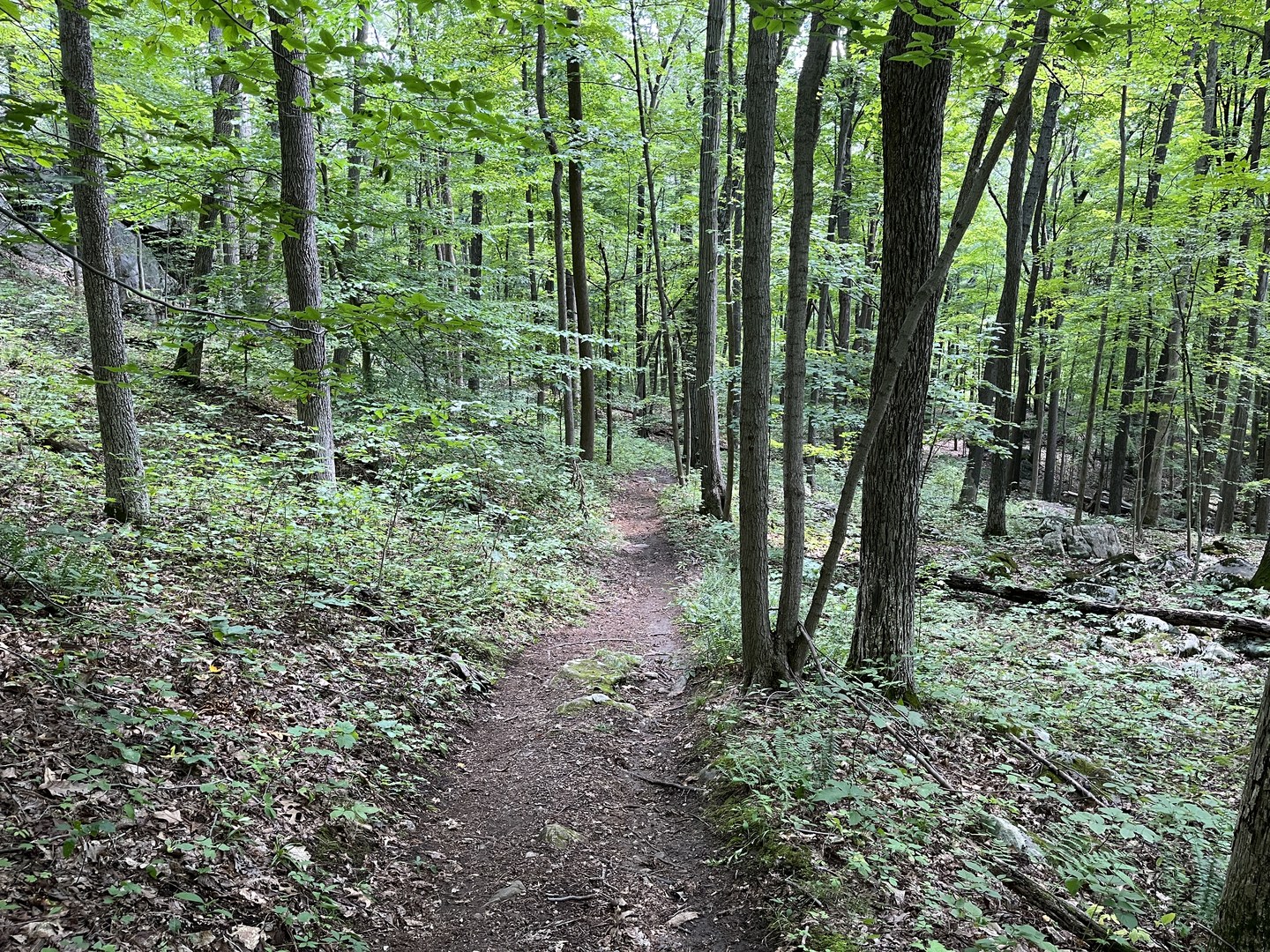 Nearing the end of the Waving Willie trail.