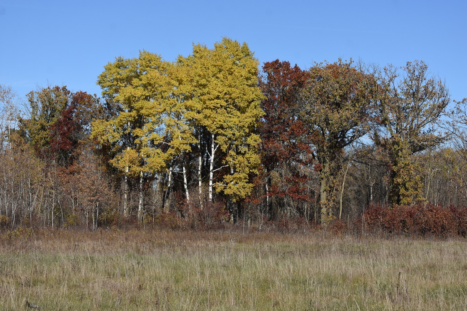View from Blue Hill Trail in Sherburne National Wildlife Refuge.