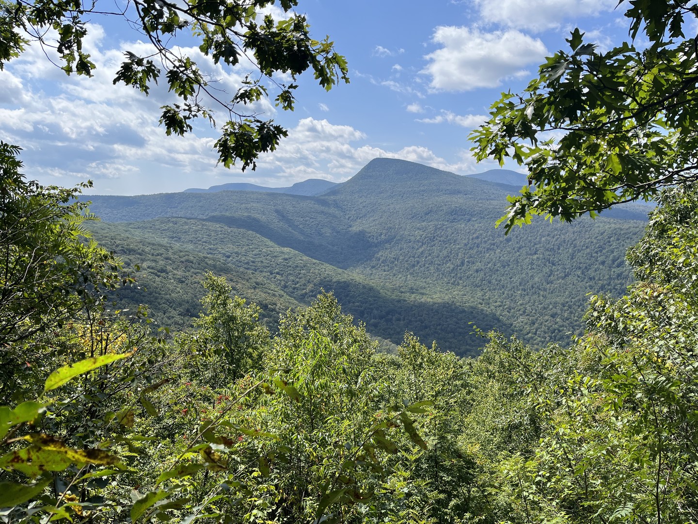 Panther Mountain as seen from Mt. Pleasant.