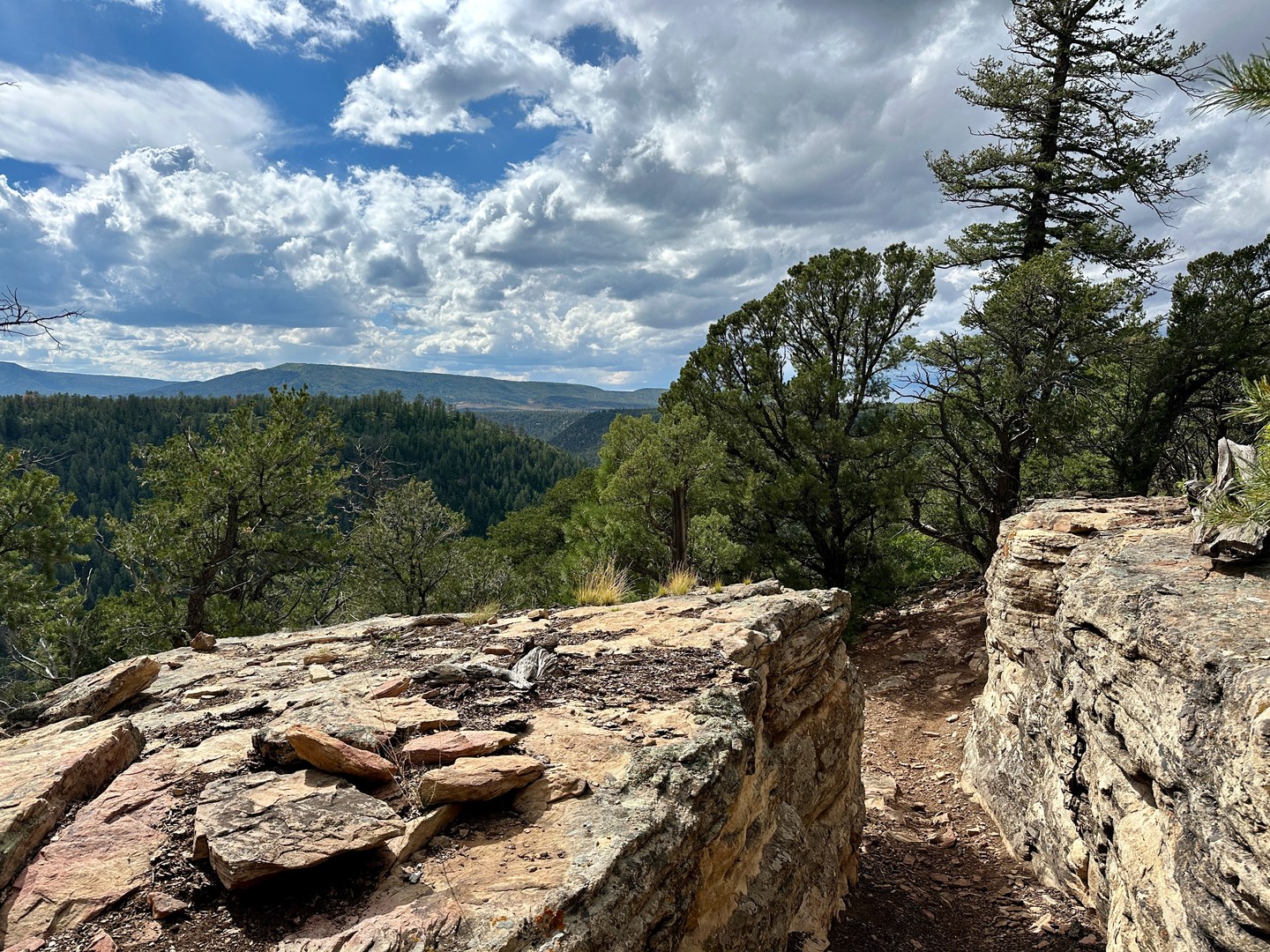 A cool section of trail with some small rocky outcroppings along the canyon rim.