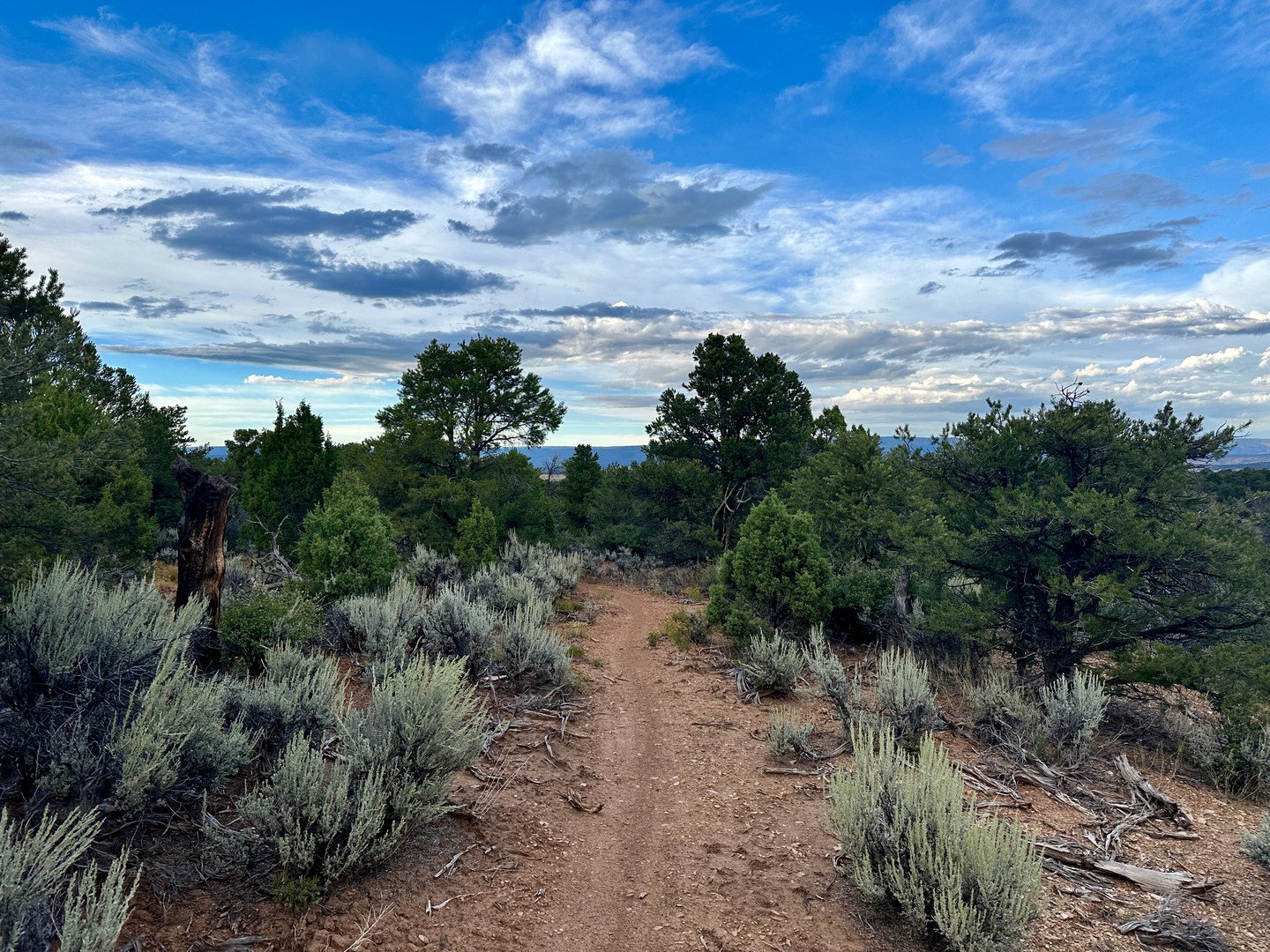 Hideout Canyon Trail.