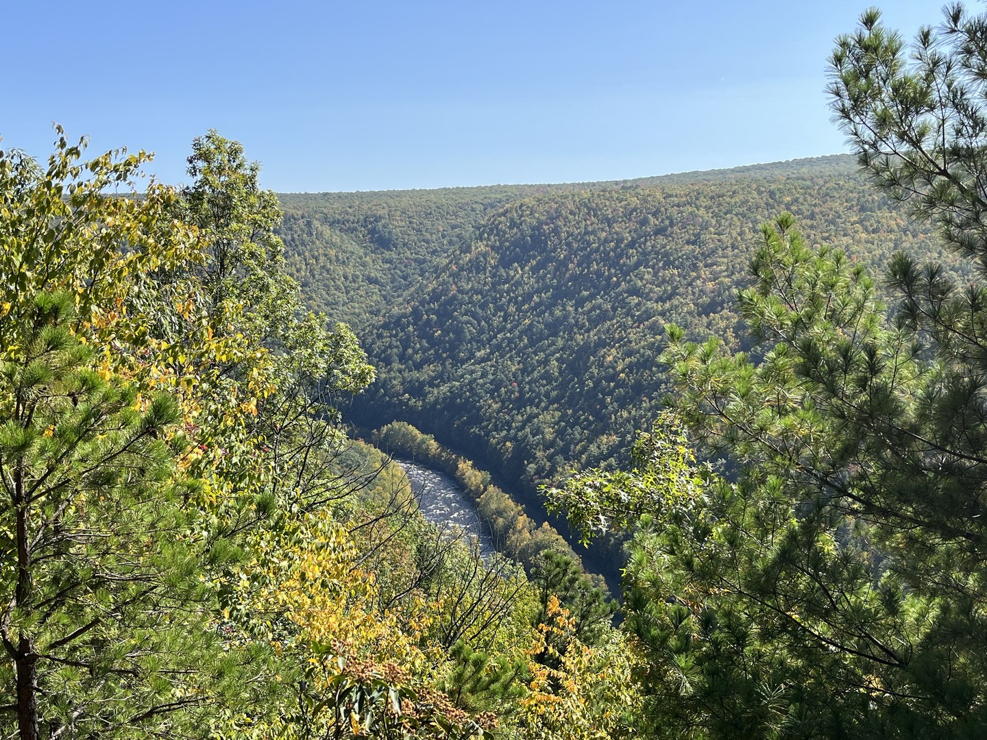Bald Mountain Vista Trail.