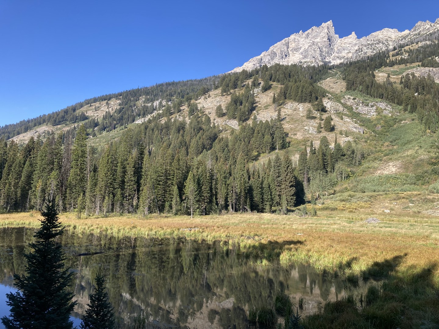 View from Moose Ponds Loop Trail.