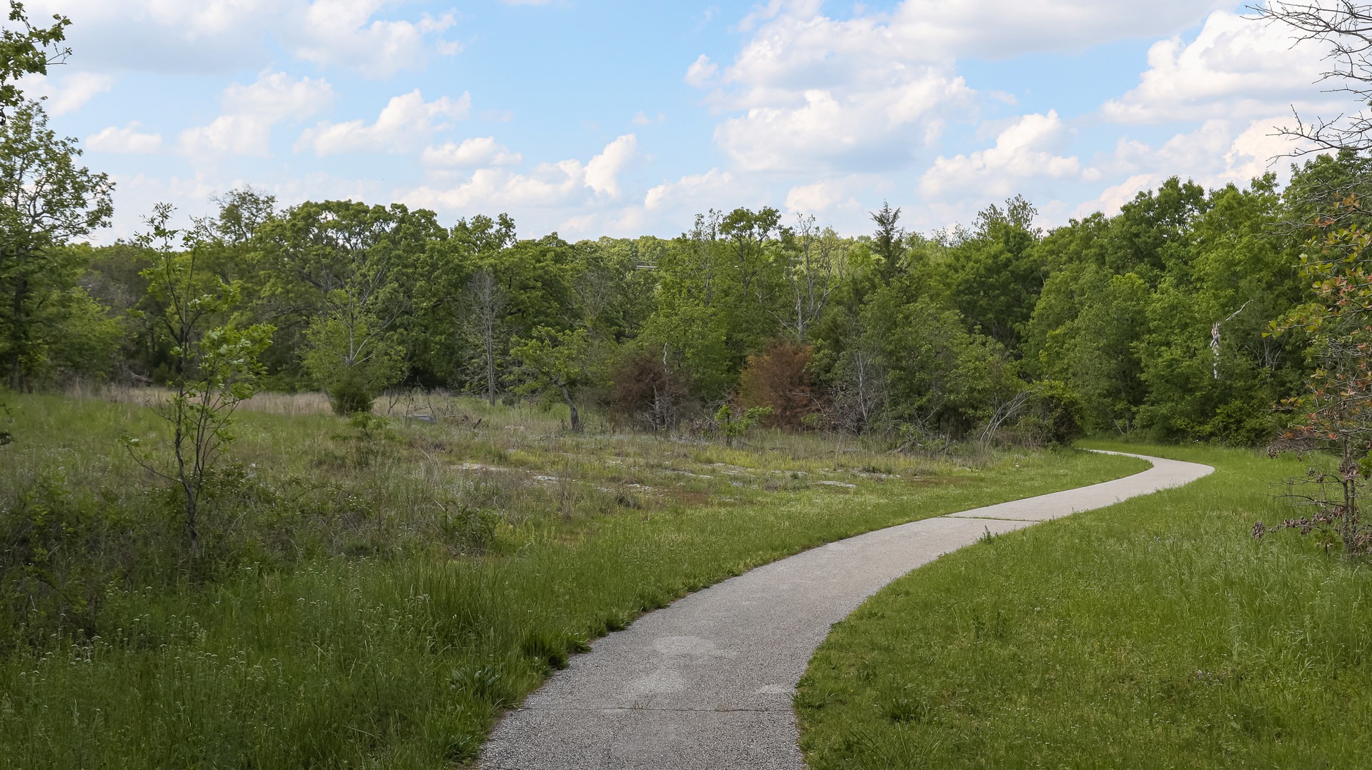 Wildcat Glades Conservation Area Low Bridge Trail.