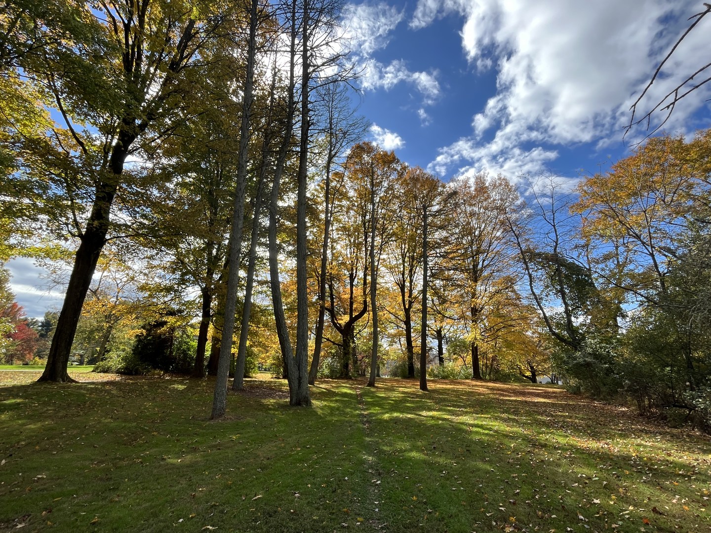 Washington Crossing state park.