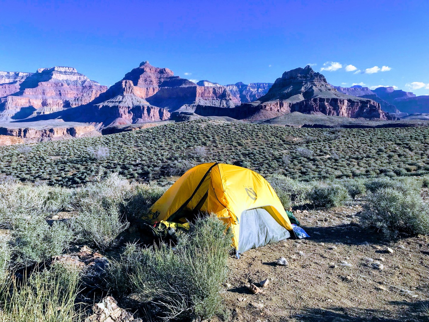 Near Horn Creek Camp.