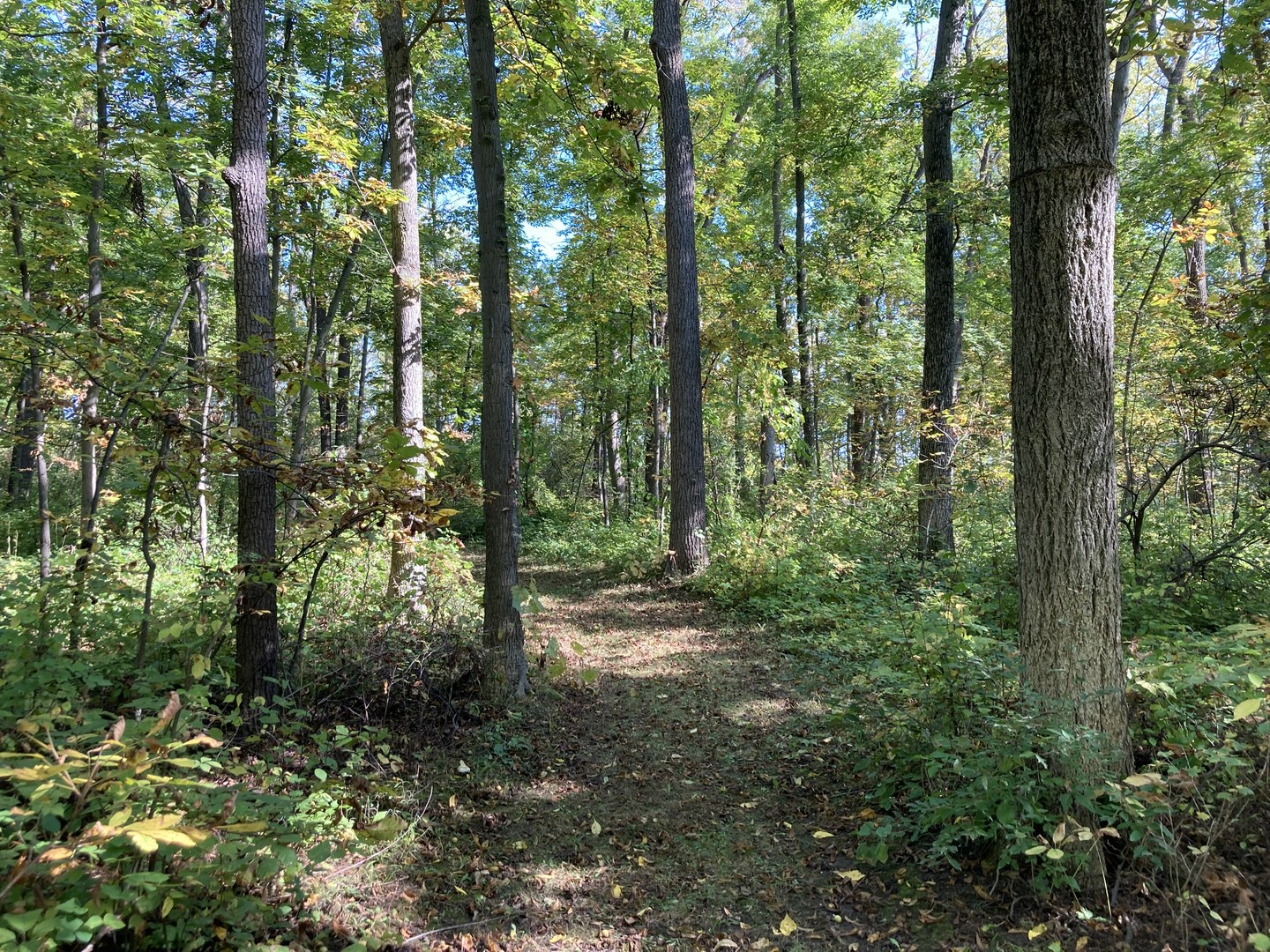 Vista Nature Loop Trail.