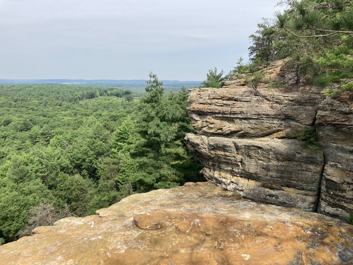 View from Wildcat Mound Loop Trail.