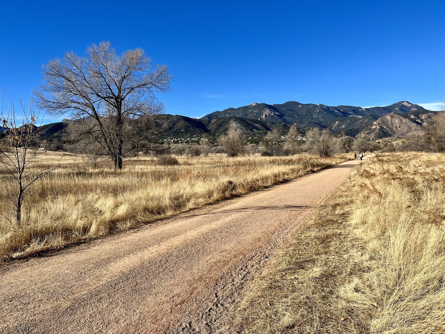Lower Bear Creek Loop.