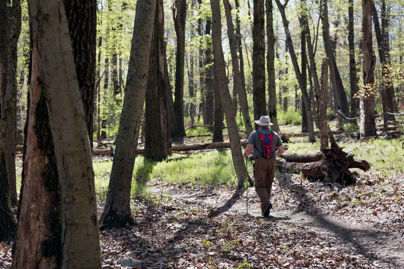 This loop trail travels through woodlands.