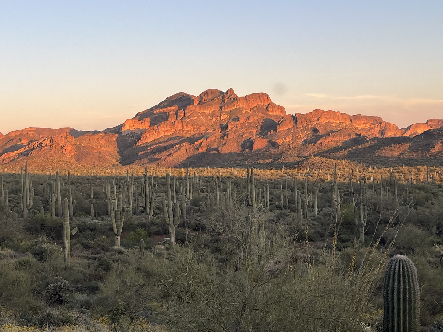 View along Lost Gold Mine Trail at sunset.