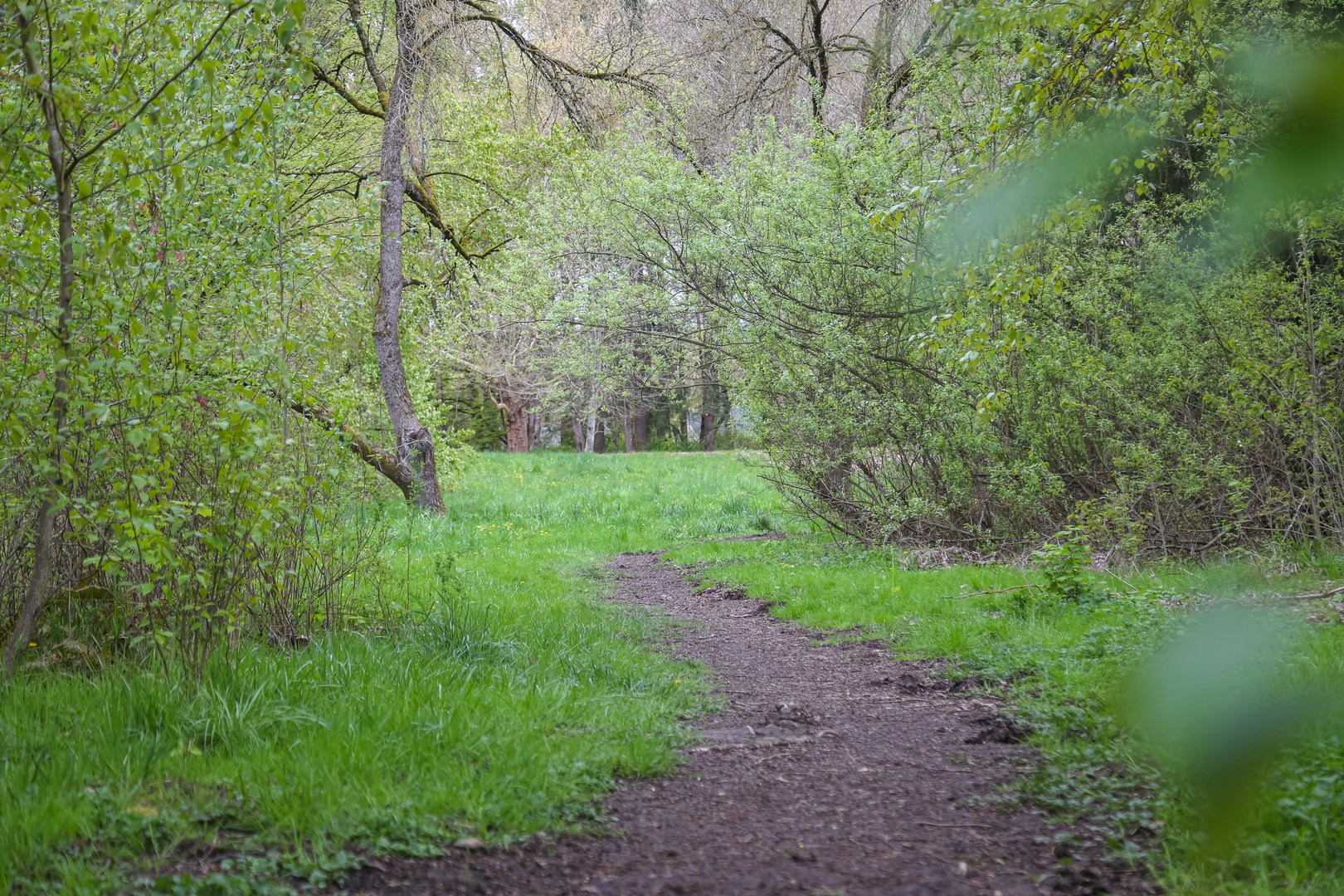 The trail makes a good way to get into a nature inside the city.