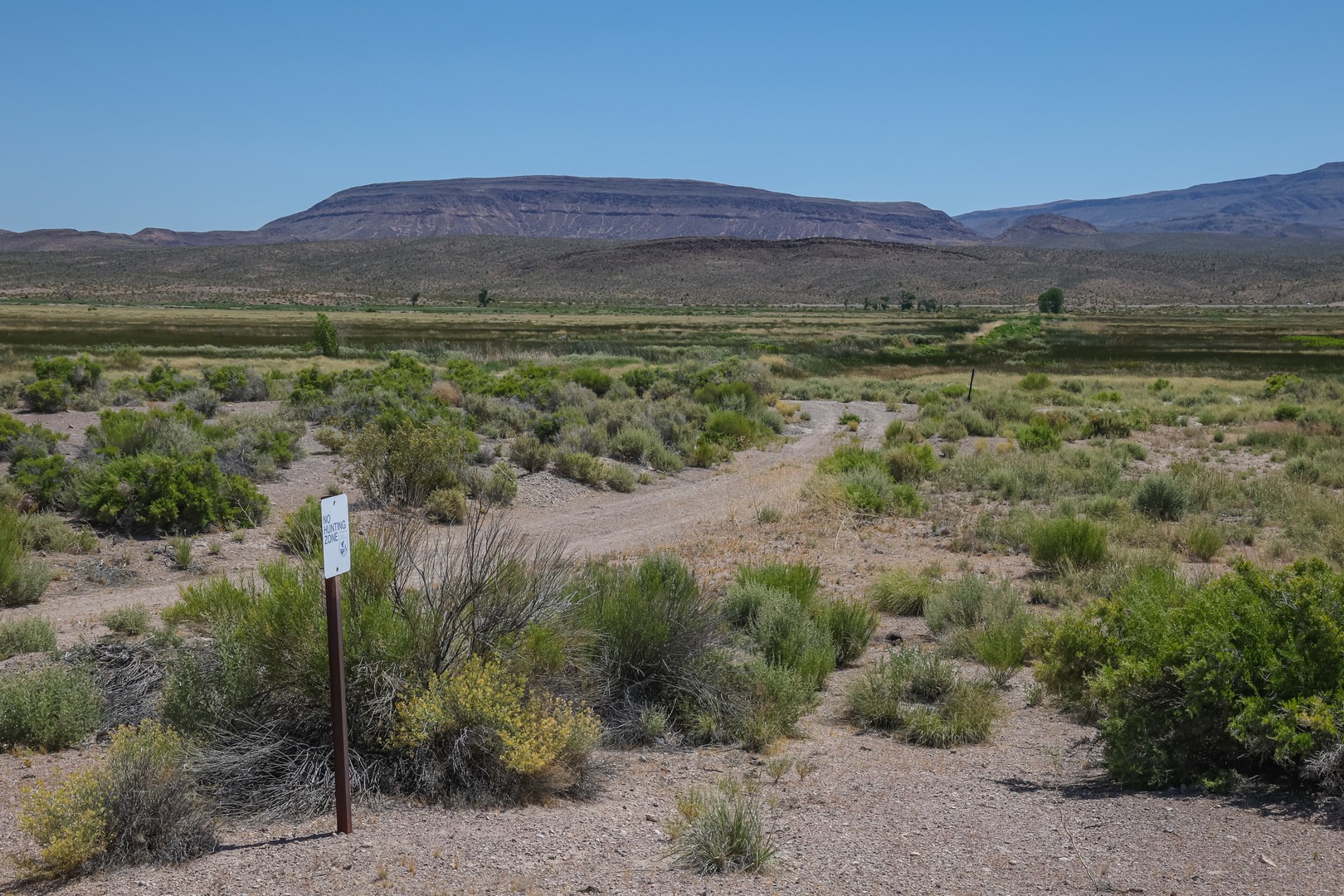 Dove Dike Trail within Pahranagat National Wildlife Refuge.