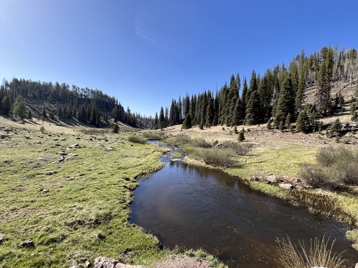Trailhead with West Fork Black River on the left.