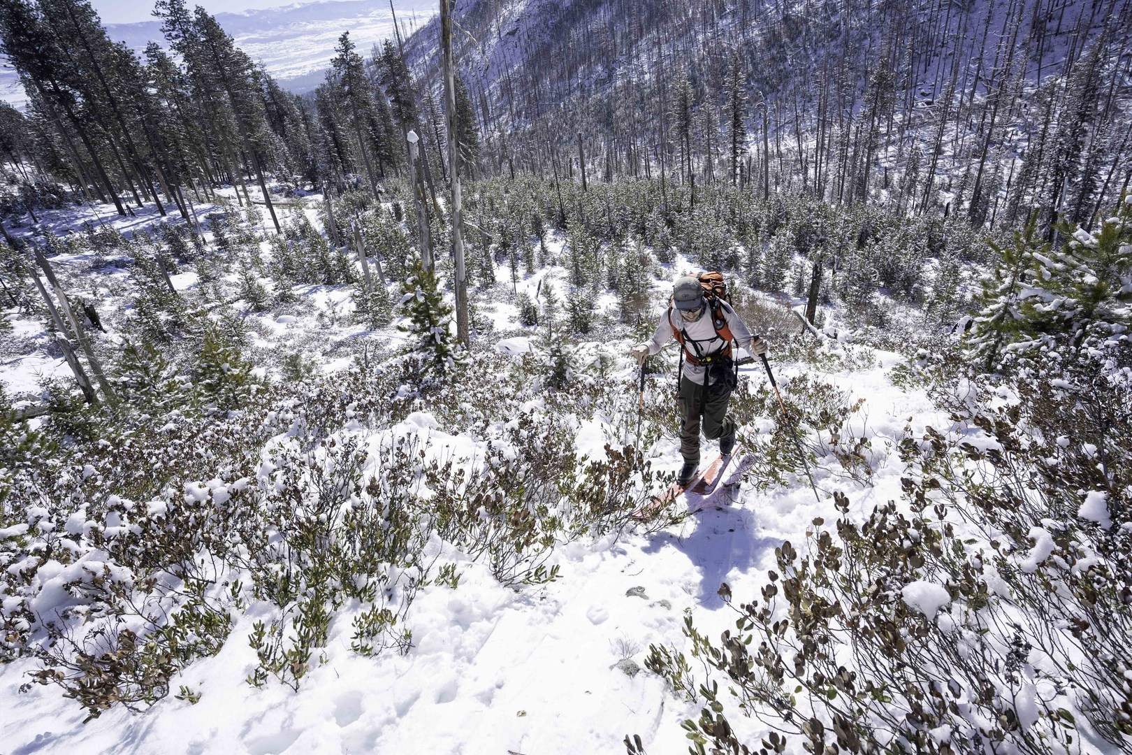 Low coverage 2023/24.