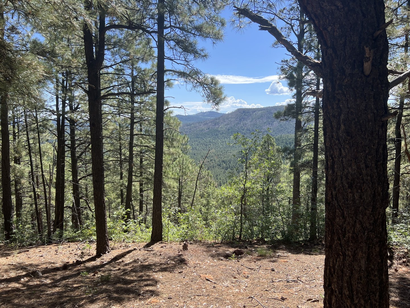 View from the Mountain.