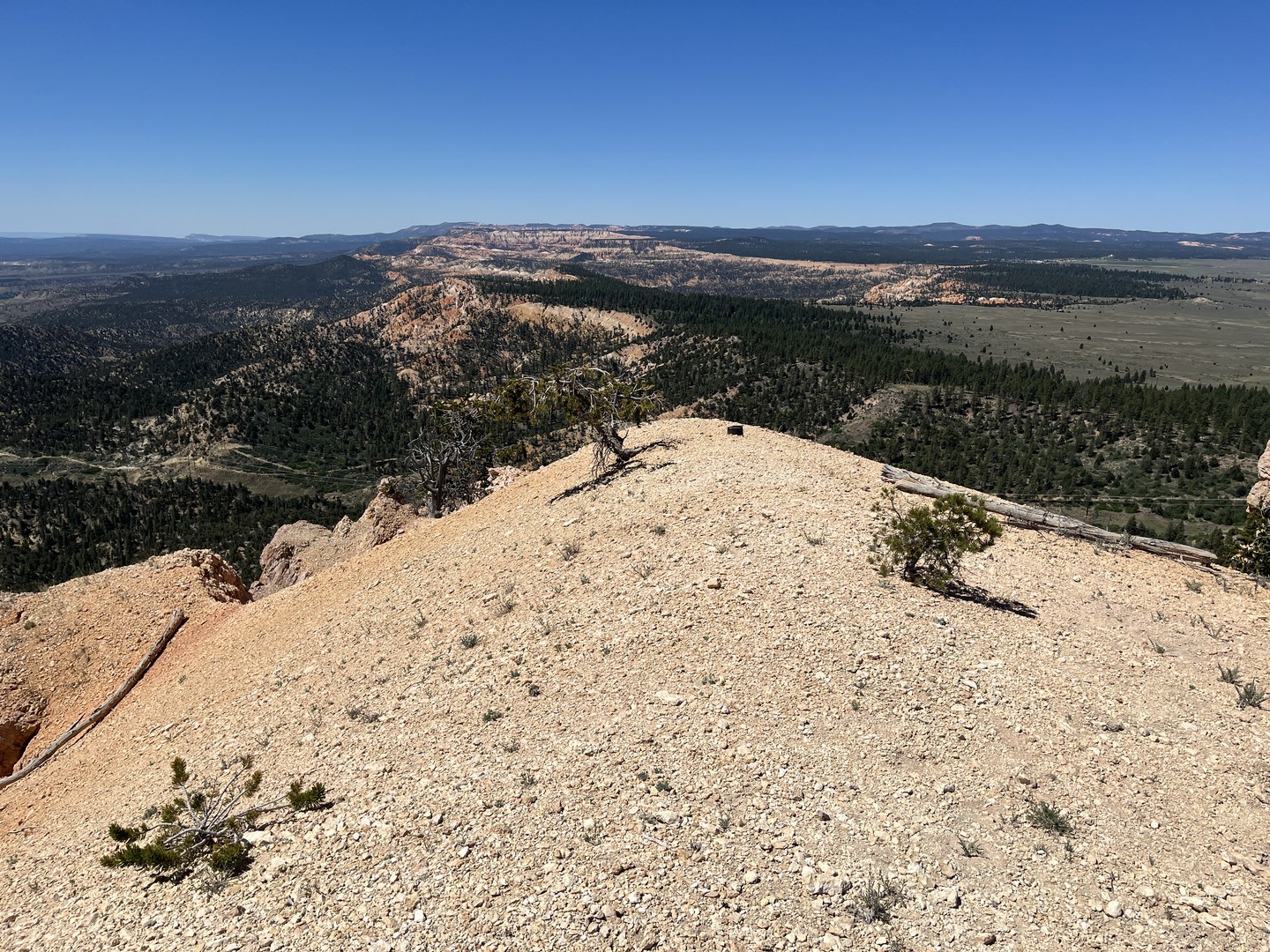 View from the top of Henderson Ridge.