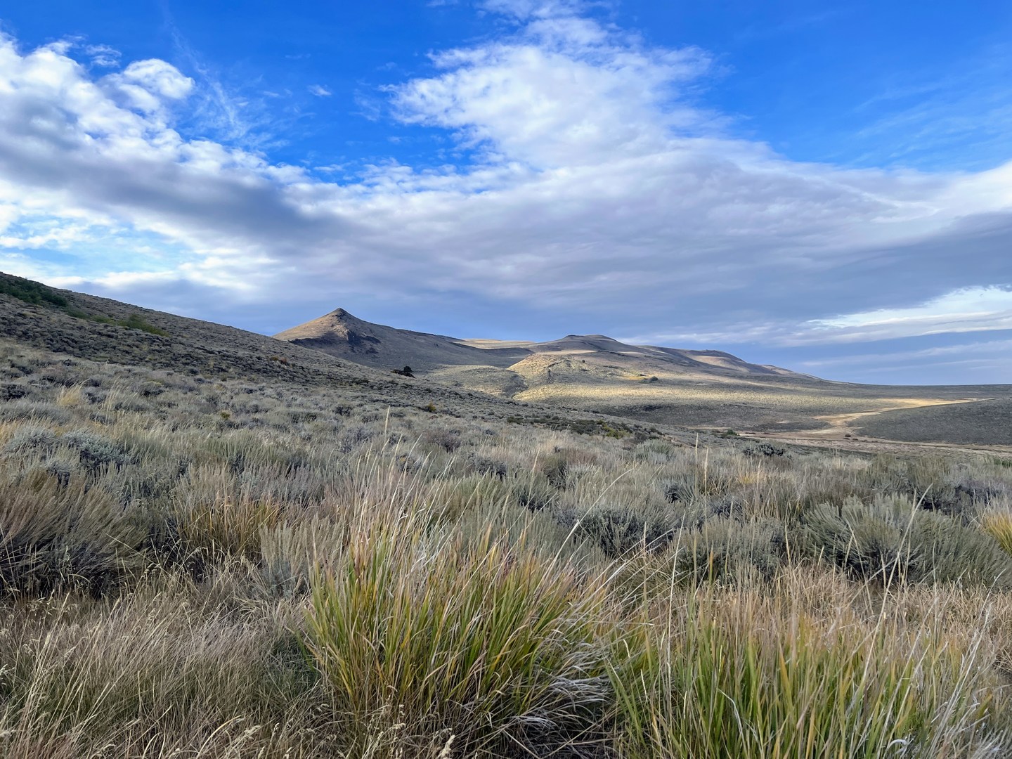 View from Barnhardy Road.