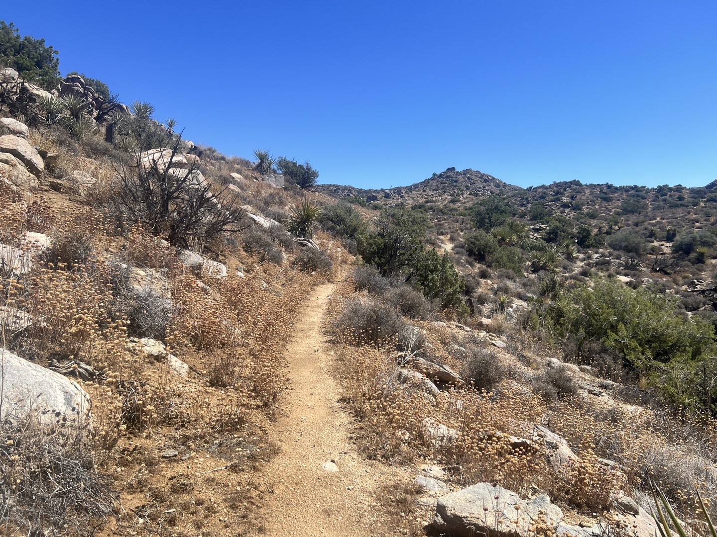 California Riding and Hiking Trail.