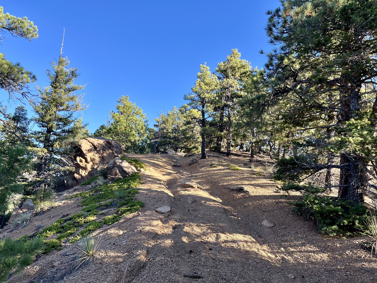 Unnamed Summit Trail.