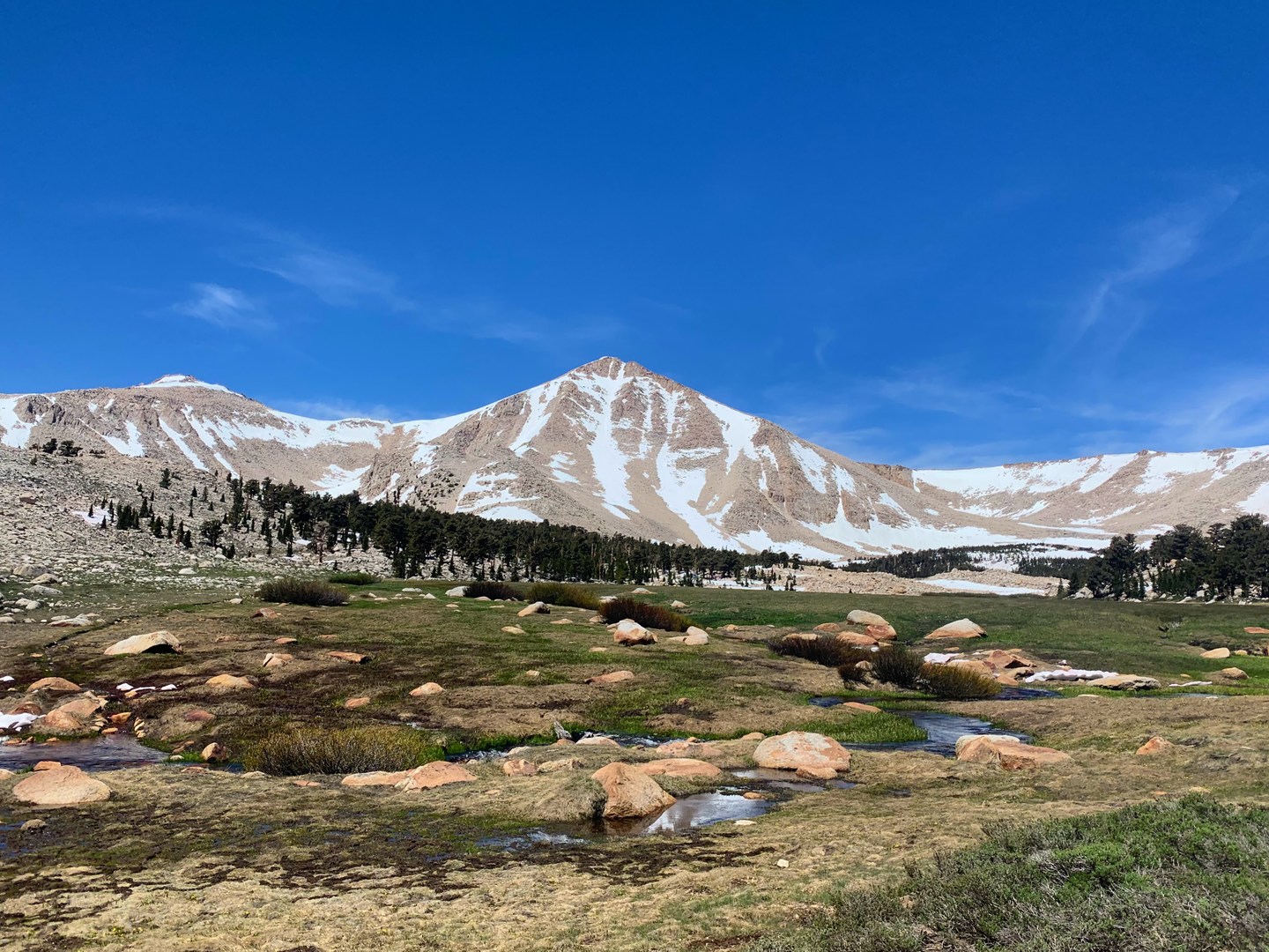 South Fork Cottonwood Creek.