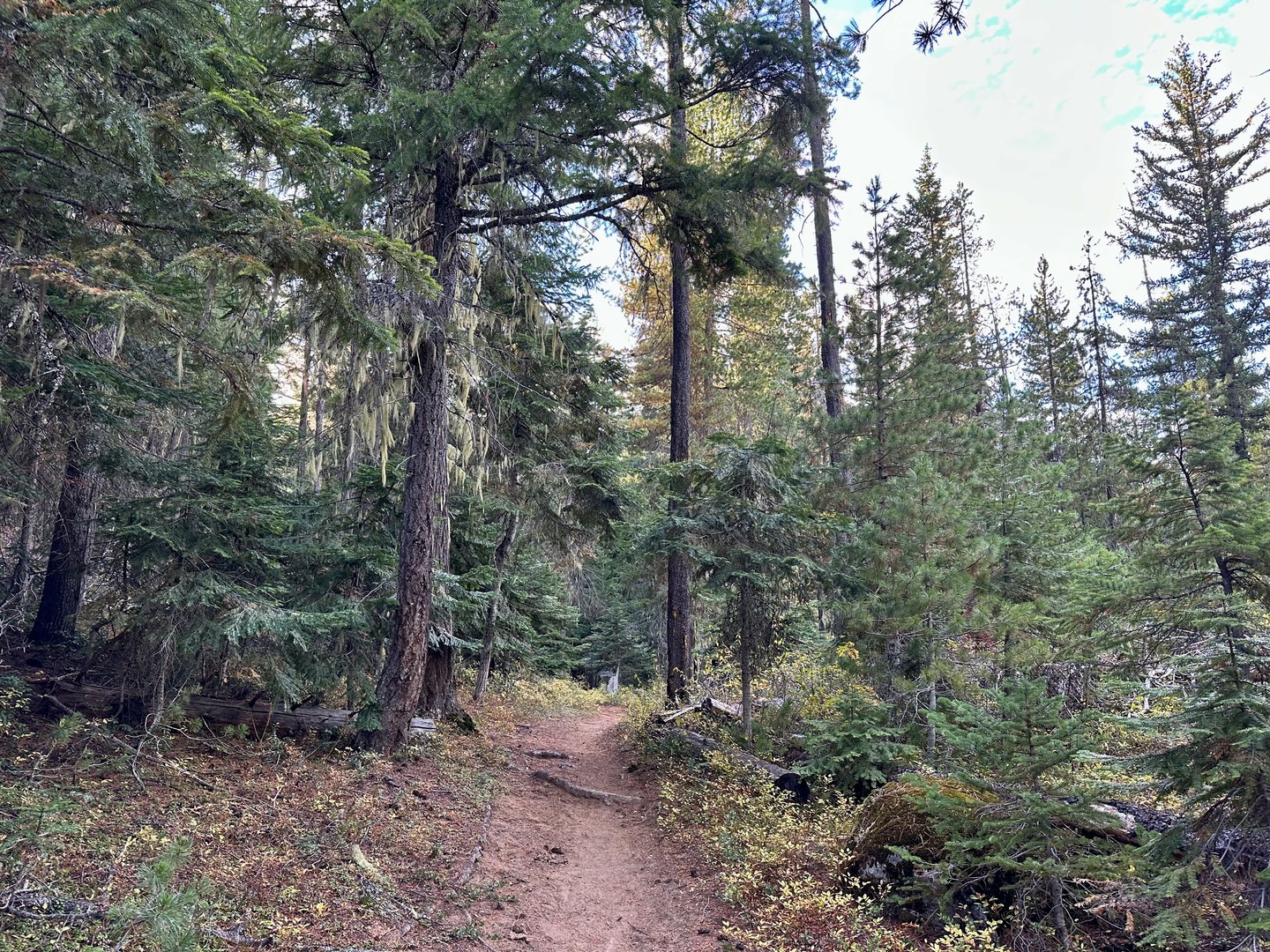 Starting out on the Jackpine Trail.