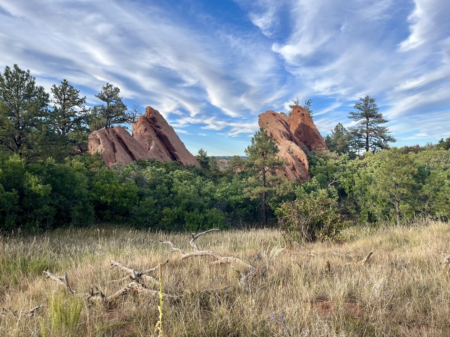 Red Rock Canyon Open Space.