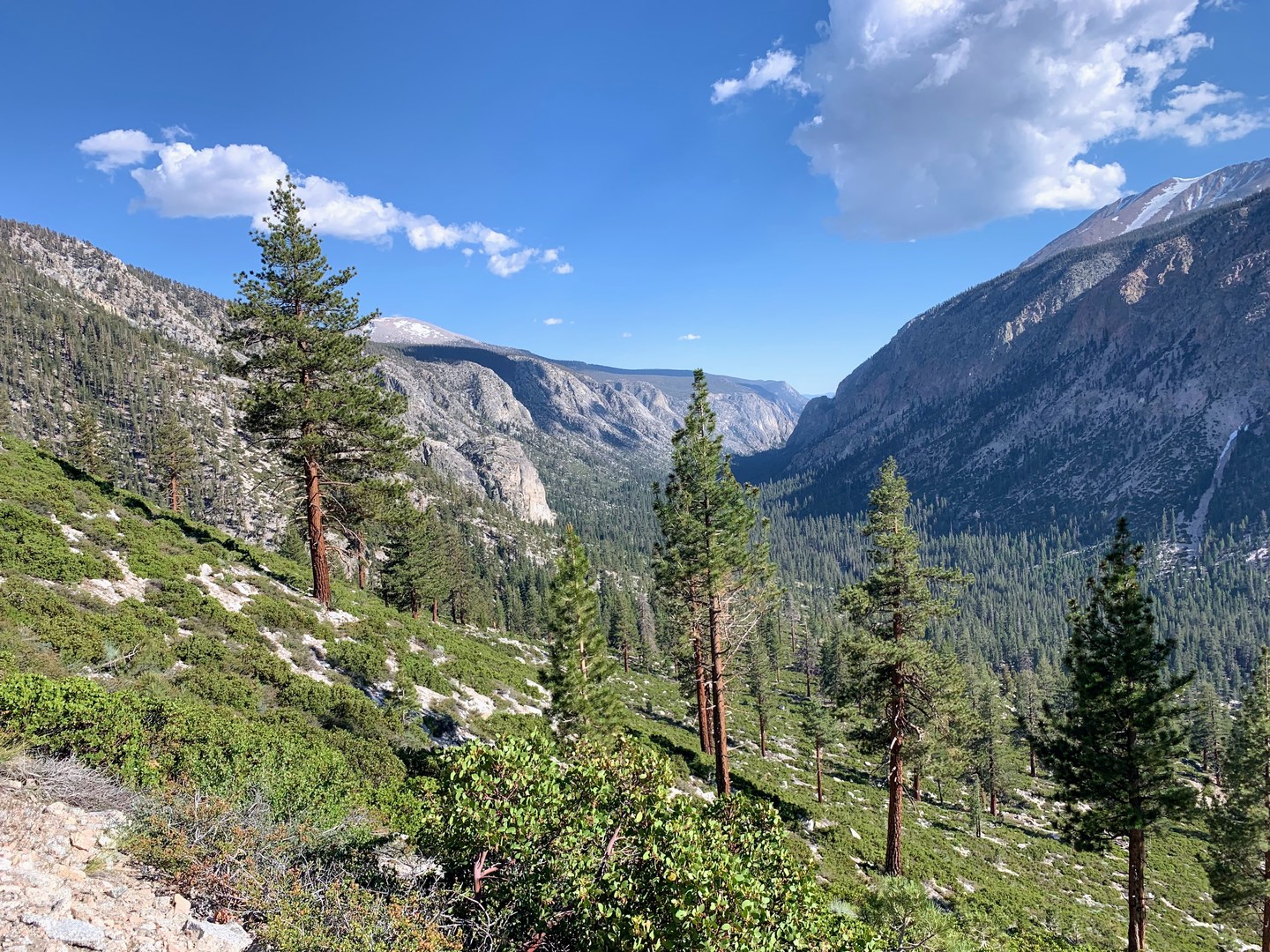 HIgh Sierra Trail along Wallace Creek.