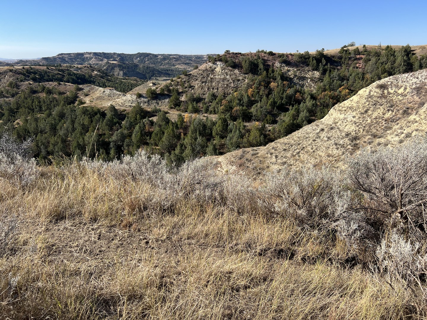 View from the plateau.