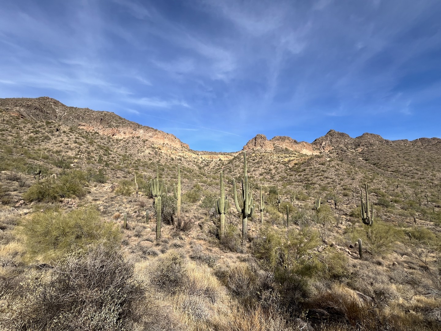 View of Pass Saddle.