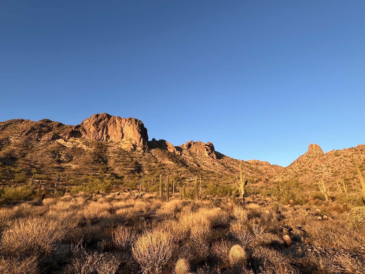 View from the Goldlink trail.
