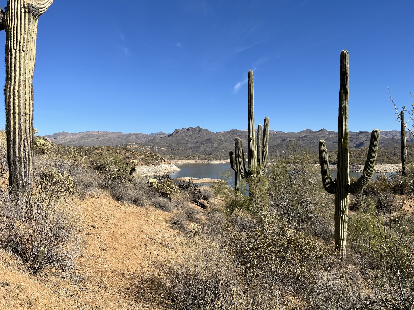 View of Bartlett Lake and SB Mountain from the trail.
