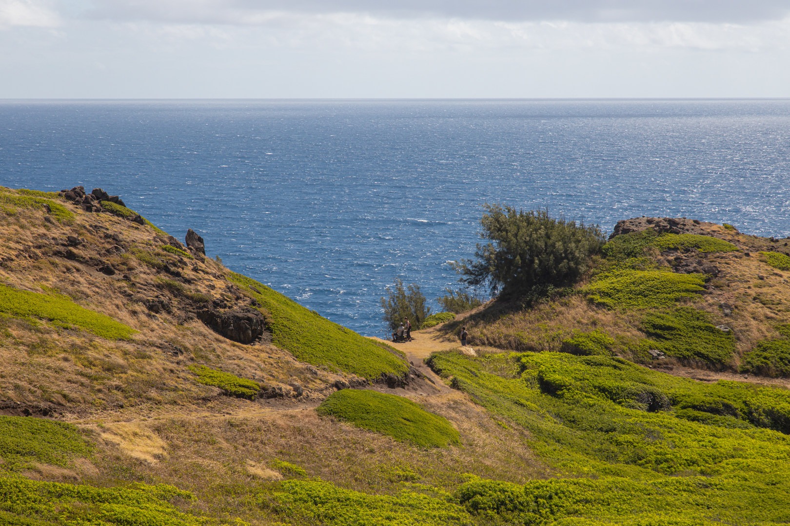 During the winter months, hikers might be able to spot whales from the vantage point of the trail.