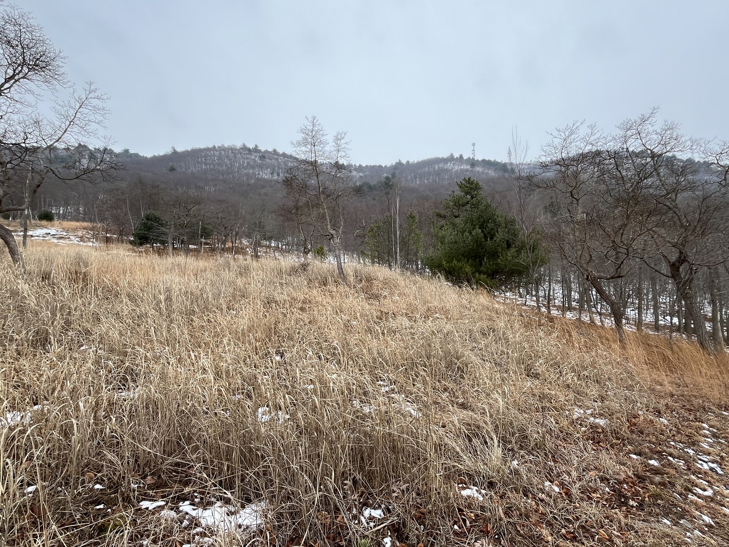 View from the Prairie Grass Trail.