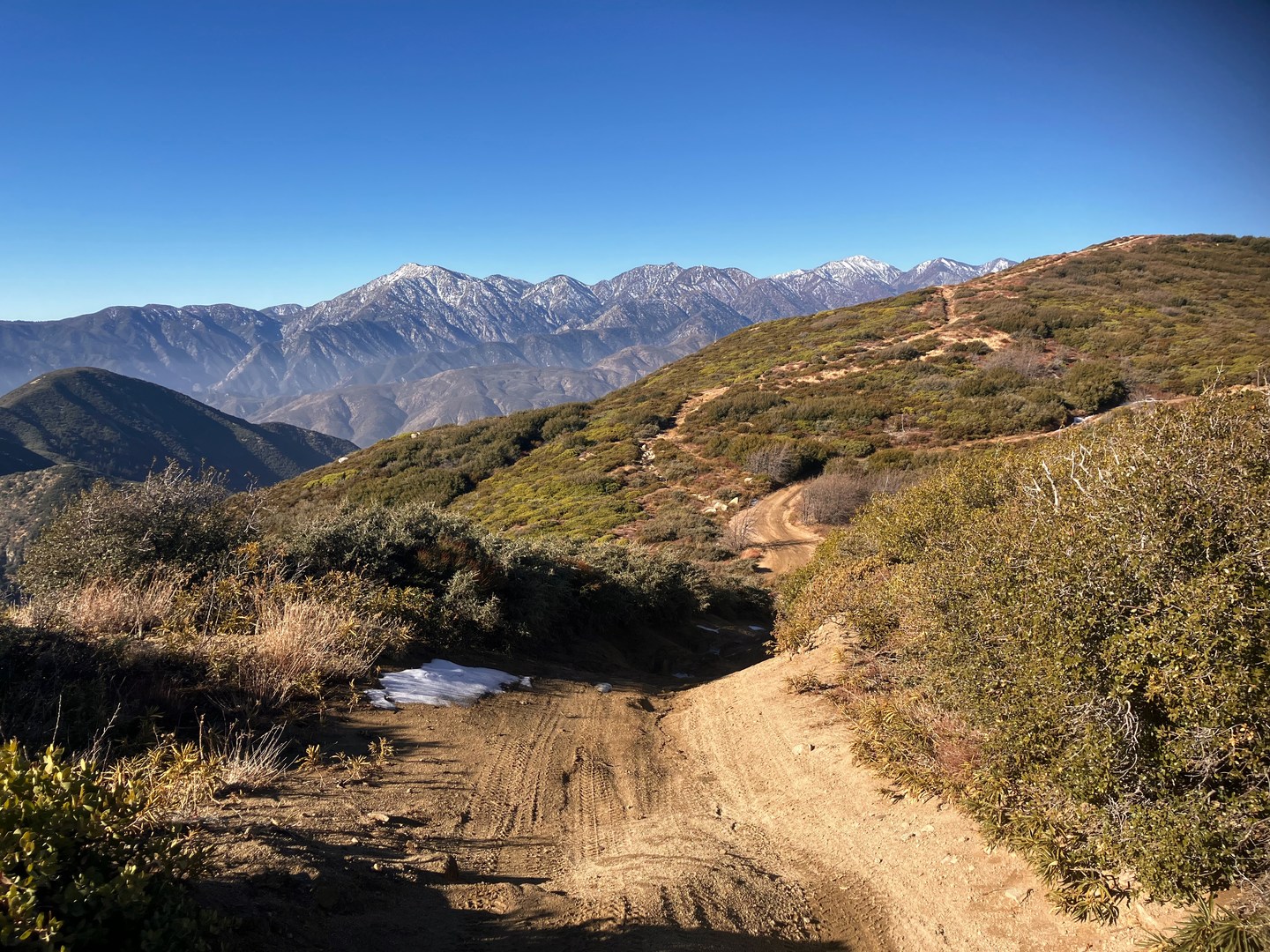 Nearing the summit of Cleghorn Mountain.