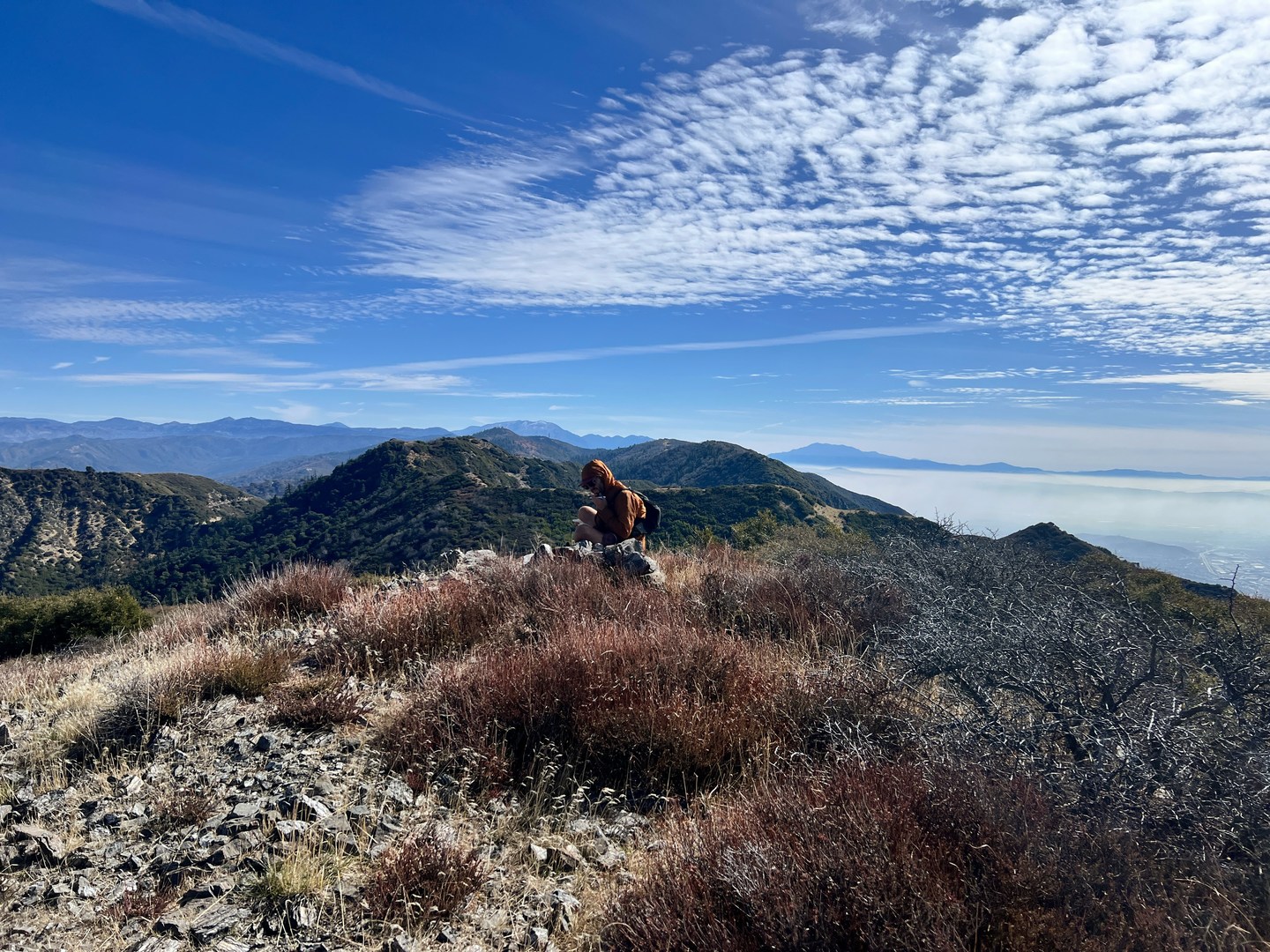 At the summit of Cajon Mountain.