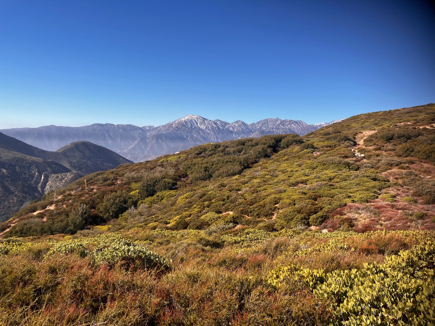A nice view of the San Gabriel Range from Cleghorn Ridge.