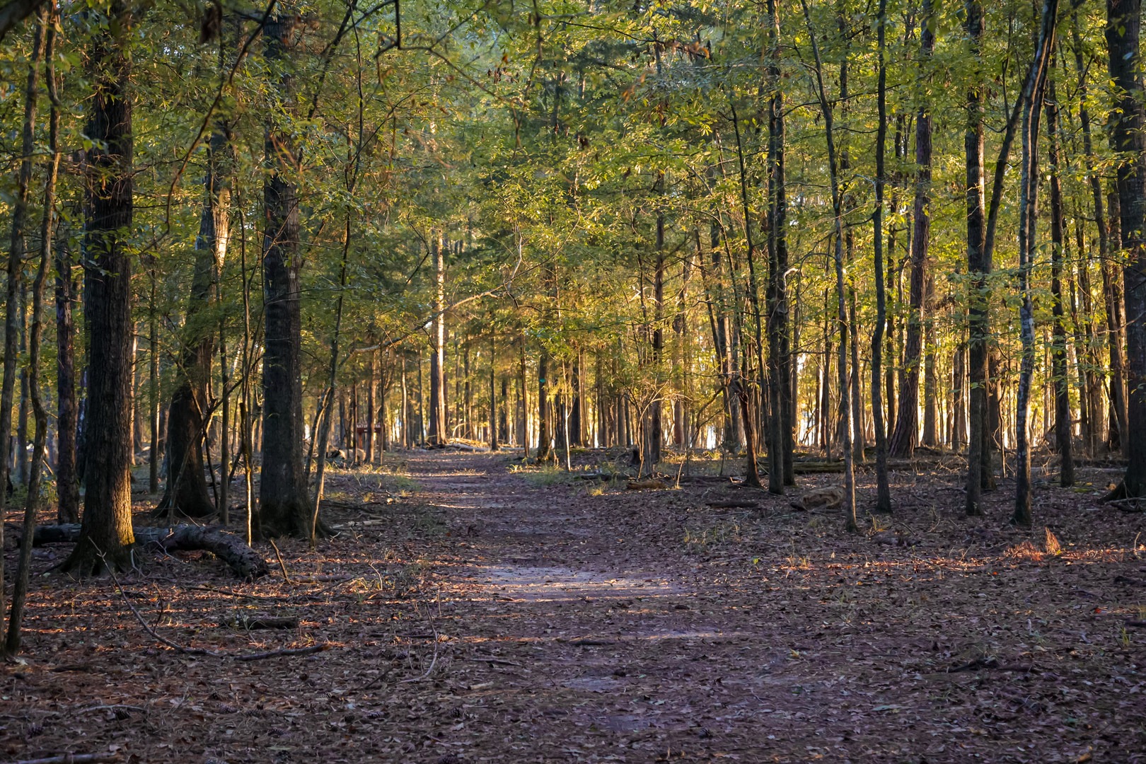 Desportes Island Nature Trail
